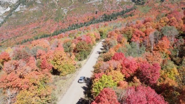 Vehicle on a canyon road lined with fall color
